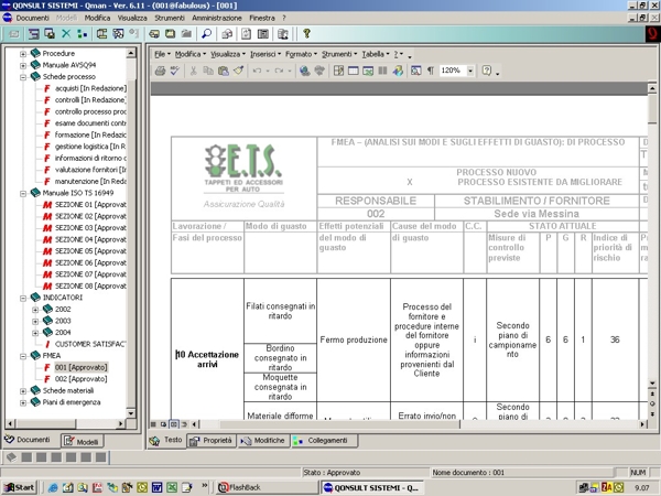 FMEA activity